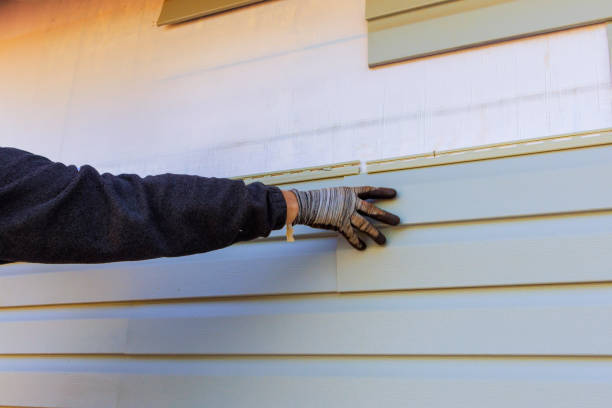 Best Aluminum Siding Installation  in Mckeesport, PA